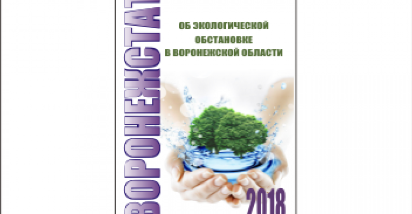 Опубликована аналитическая записка «Об экологической обстановке в Воронежской области»