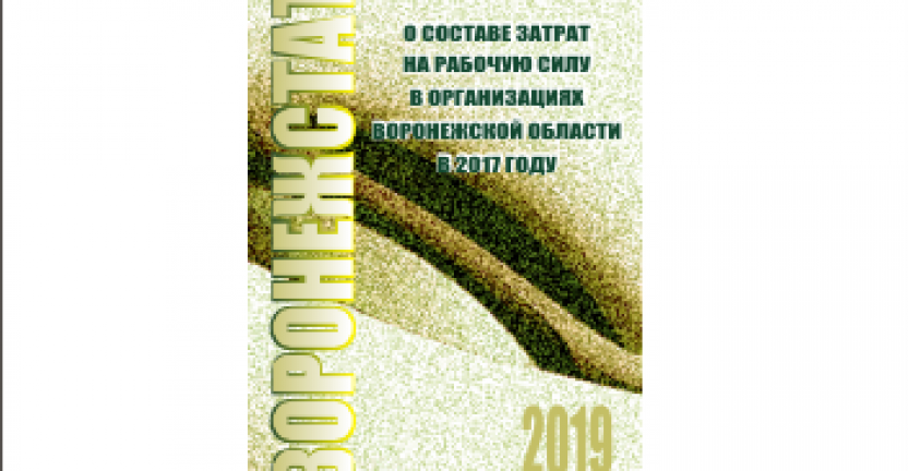 Опубликован статистический бюллетень «О составе затрат на рабочую силу в организациях Воронежской области в 2017 году»