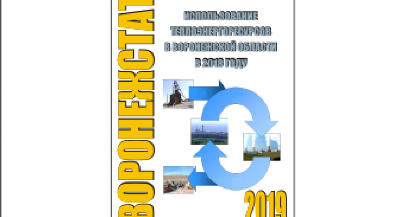 Опубликован статистический бюллетень «Использование теплоэнергоресурсов  Воронежской области в 2018 году»