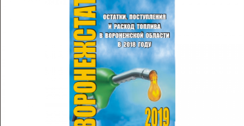 Опубликован статистический бюллетень «Остатки, поступление и расход топлива Воронежской области в 2018 году»
