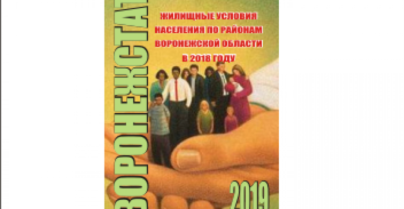Опубликован статистический бюллетень «Жилищные условия населения по районам Воронежской области в 2018 году»