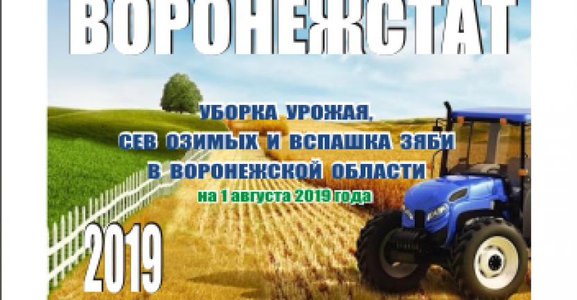 Опубликован статистический бюллетень «Уборка урожая, сев озимых и вспашка зяби в сельскохозяйственных организациях Воронежской области на 1 сентября 2019 года»