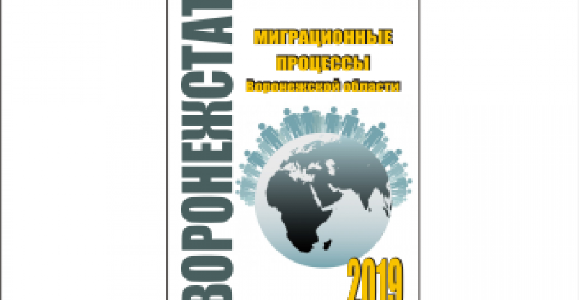 Опубликована аналитическая записка «Миграционные процессы Воронежской области»