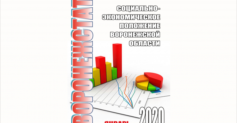 Опубликован аналитический доклад с приложением «Социально-экономическое положение Воронежской области в январе 2020 года»